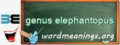 WordMeaning blackboard for genus elephantopus